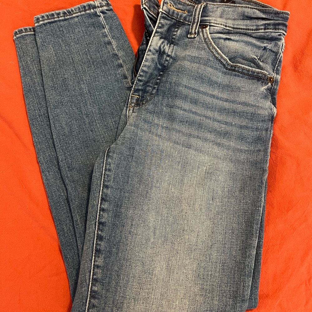 Bridgette Lucky Brand Skinny Jeans